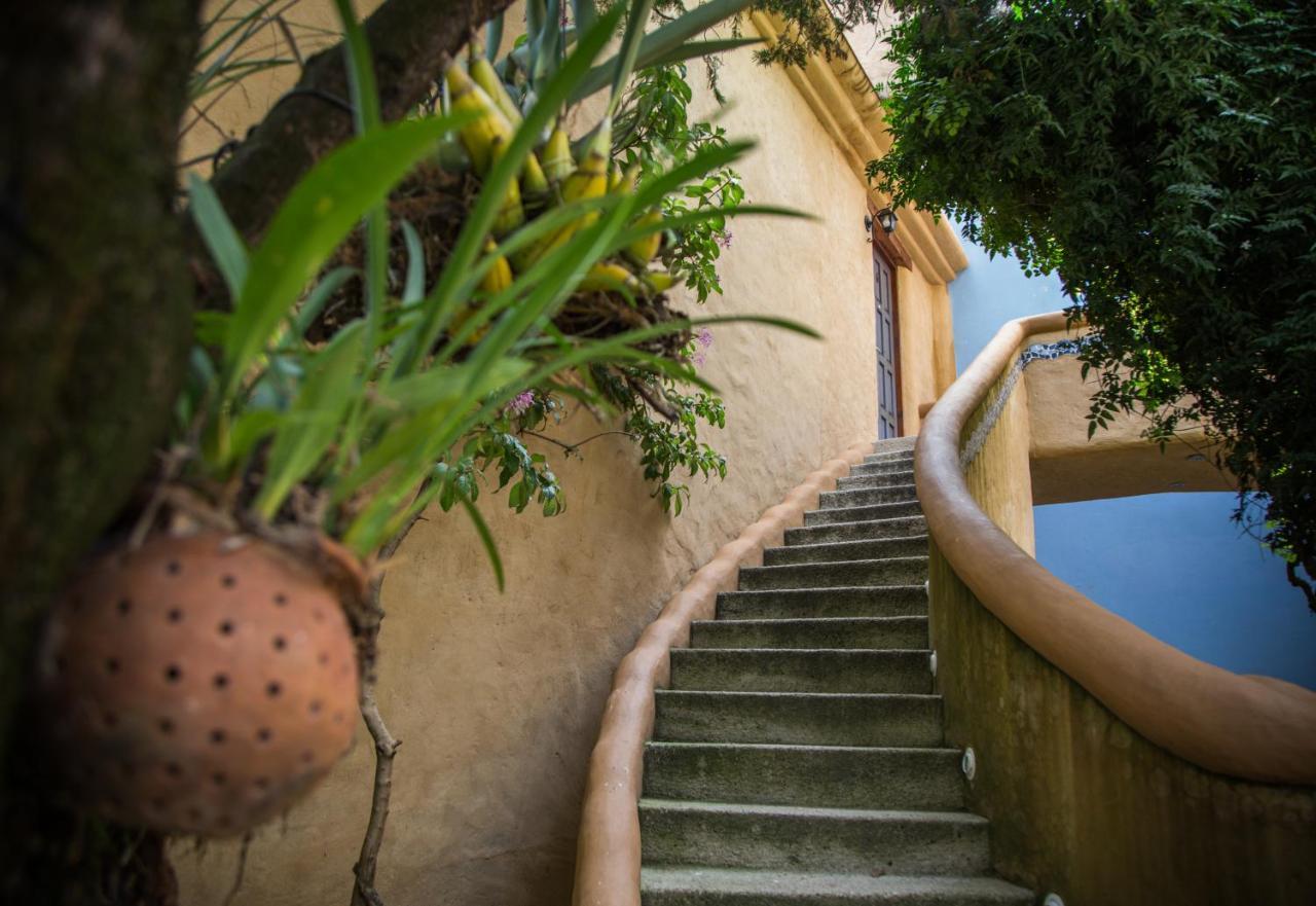 Guayaba Inn Boutique Hotel San Cristóbal de Las Casas Zewnętrze zdjęcie