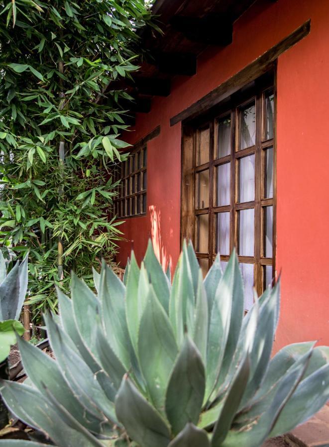 Guayaba Inn Boutique Hotel San Cristóbal de Las Casas Zewnętrze zdjęcie