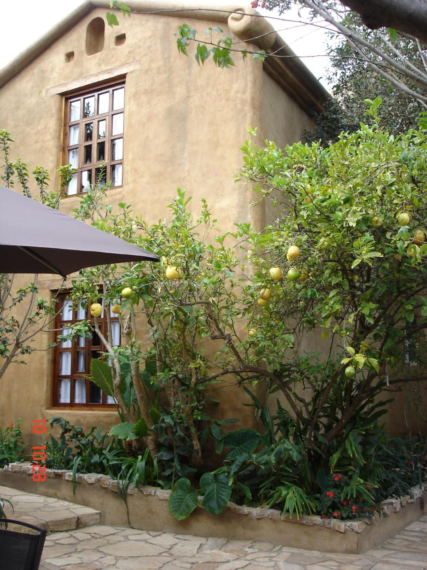 Guayaba Inn Boutique Hotel San Cristóbal de Las Casas Zewnętrze zdjęcie